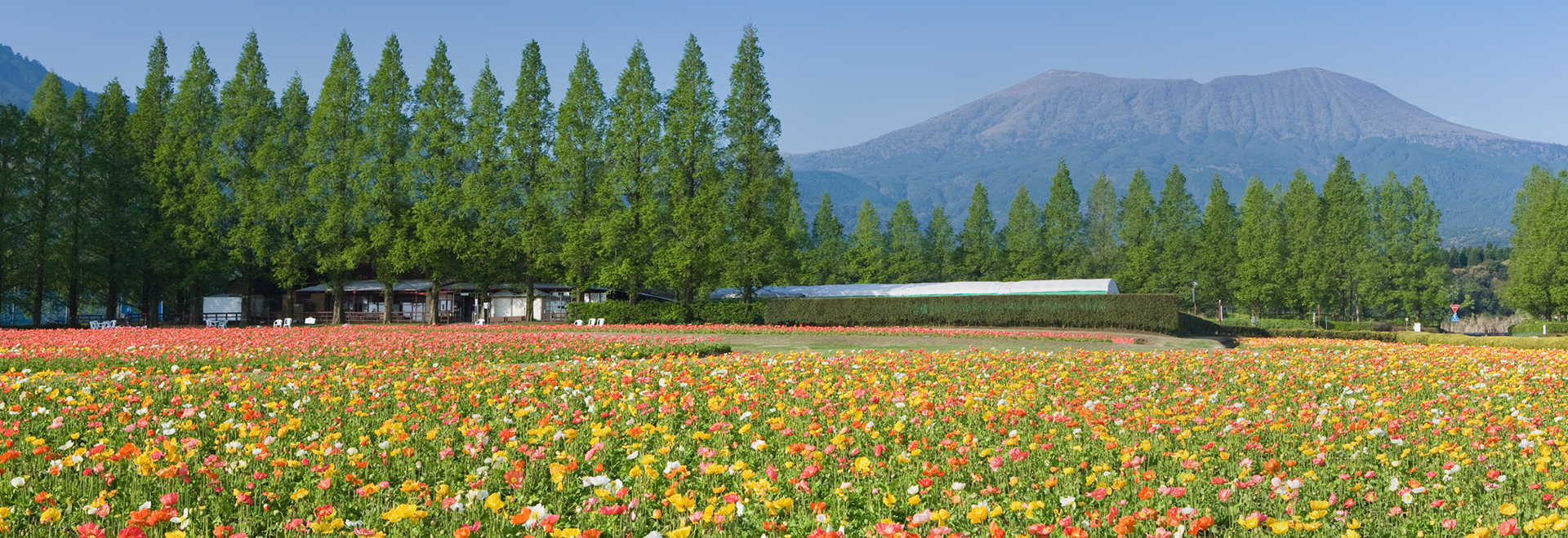 宮崎県小林市の自然豊かな風景